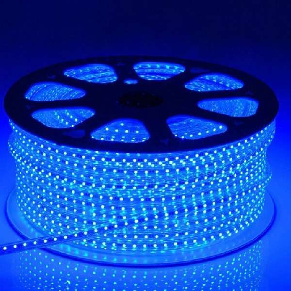 6MM LED 100M 5050 Strip Light Blue