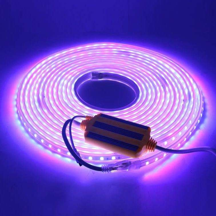 10MM Waterproof LED Controller Strip Lights