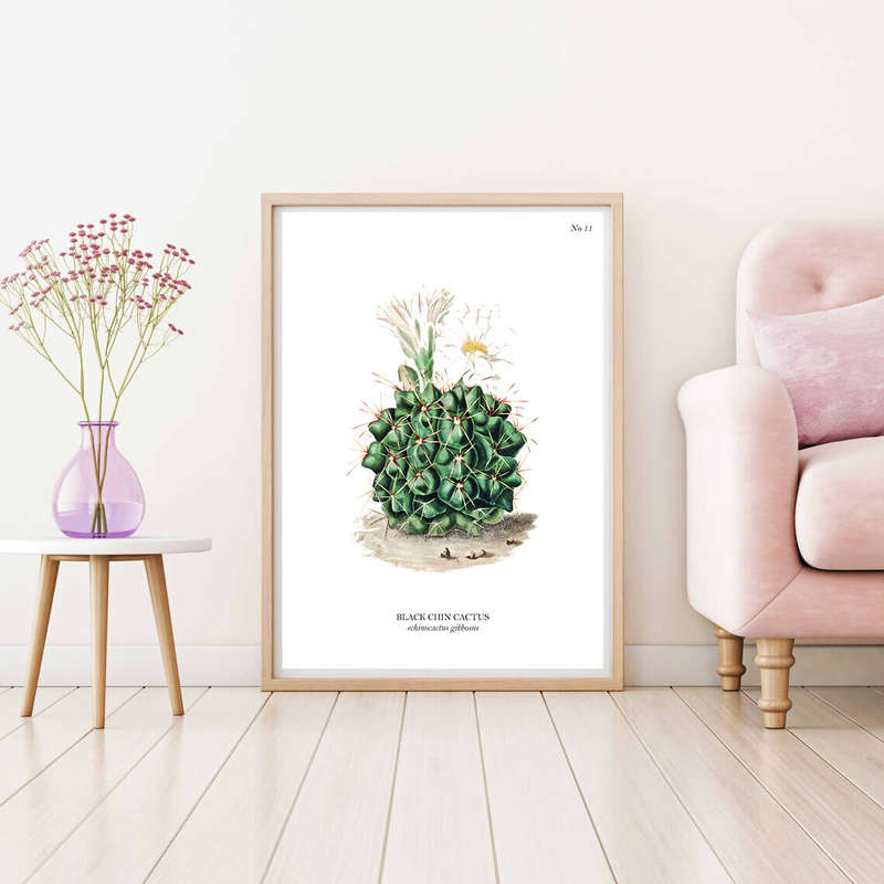 Black Chin Cactus Botanical Art Print by Mary Vaux Walcott