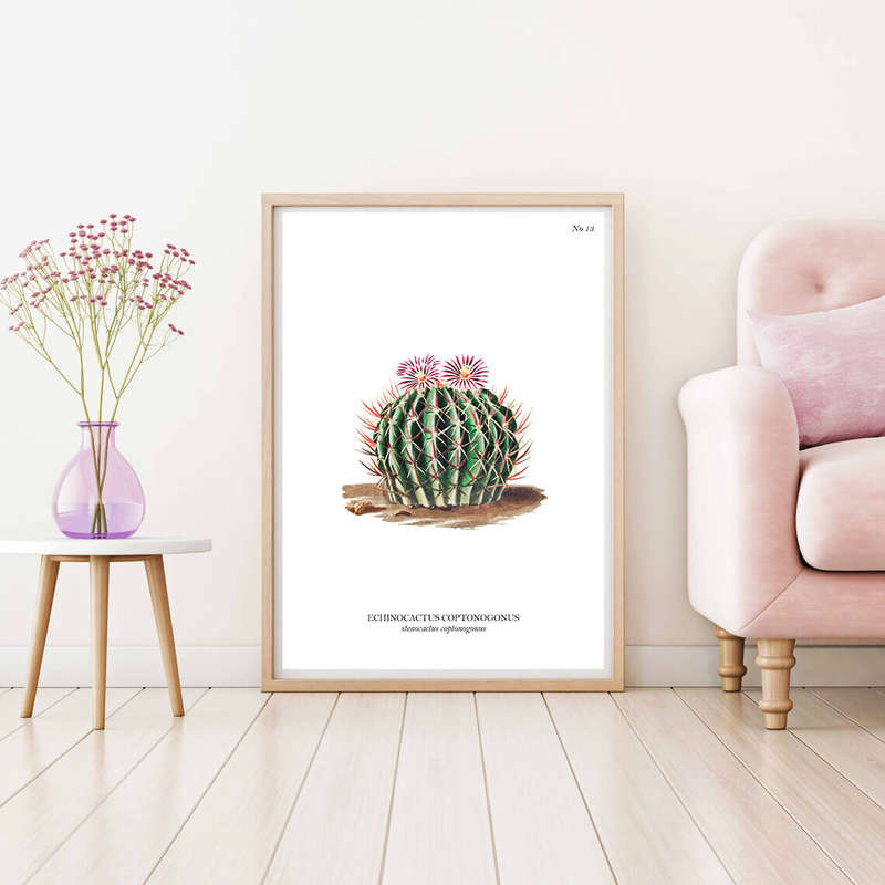 Echinocactus Coptonogonus Botanical Art Print by Mary Vaux Walcott