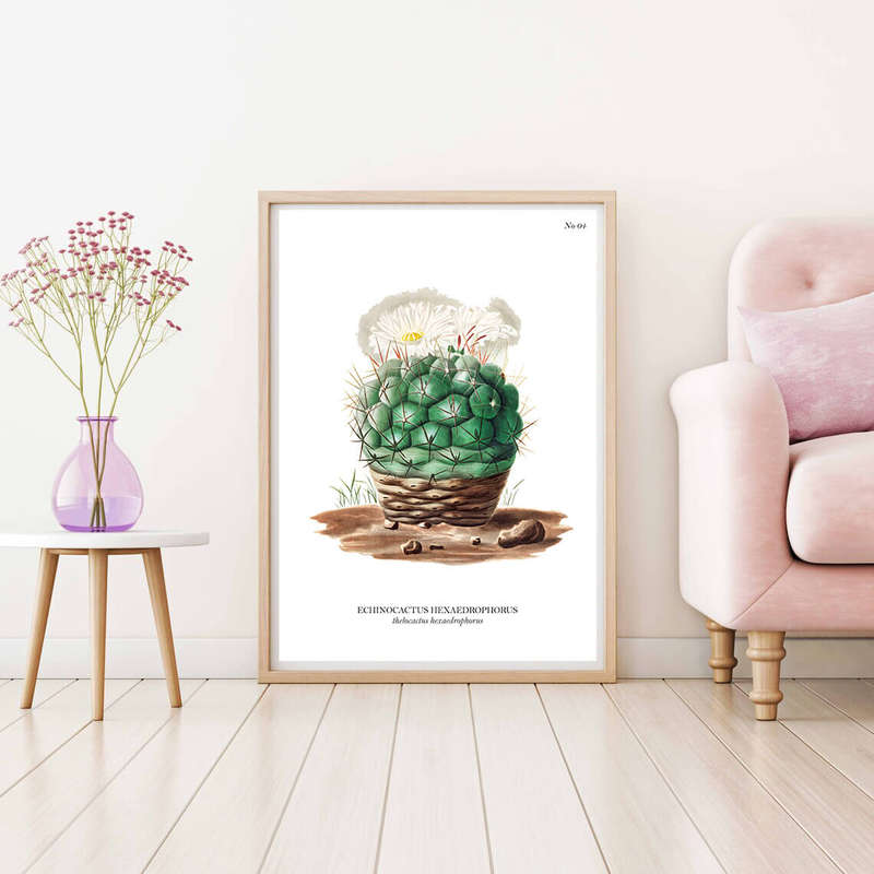 Echinocactus Hexaedrohorus Botanical Art Print by Mary Vaux Walcott