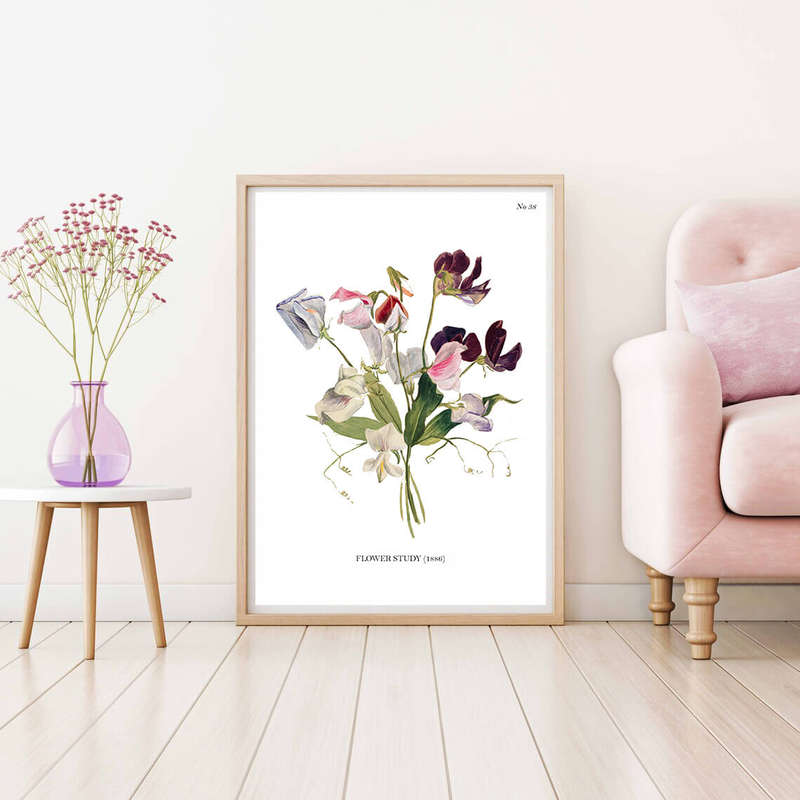 Flower Study Botanical Art Print by Mary Vaux Walcott