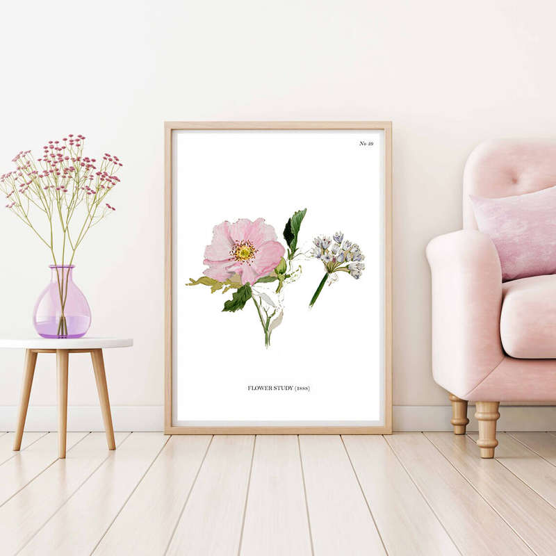 Flower Study Botanical Art Print by Mary Vaux Walcott