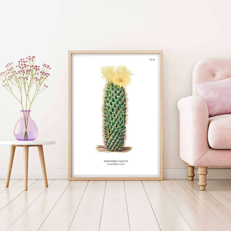 Hedgehog Cactus Botanical Art Print by Mary Vaux Walcott