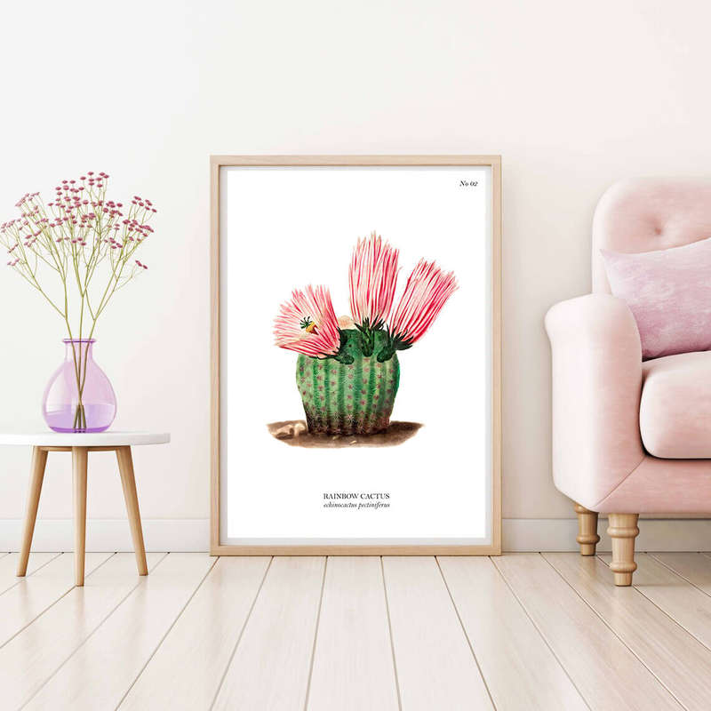 Rainbow Cactus Botanical Art Print by Mary Vaux Walcott