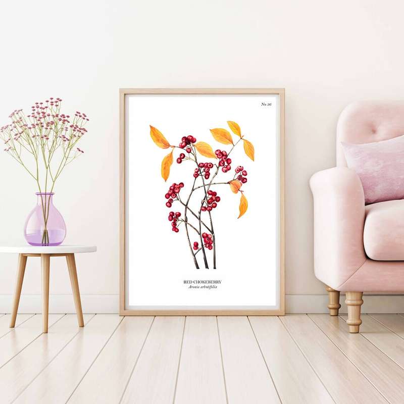 Red Choke Berry Botanical Art Print by Mary Vaux Walcott