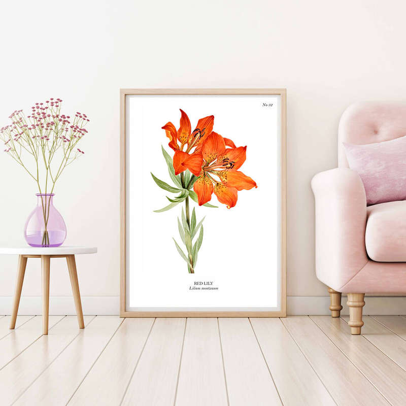 Red Lily Botanical Art Print by Mary Vaux Walcott