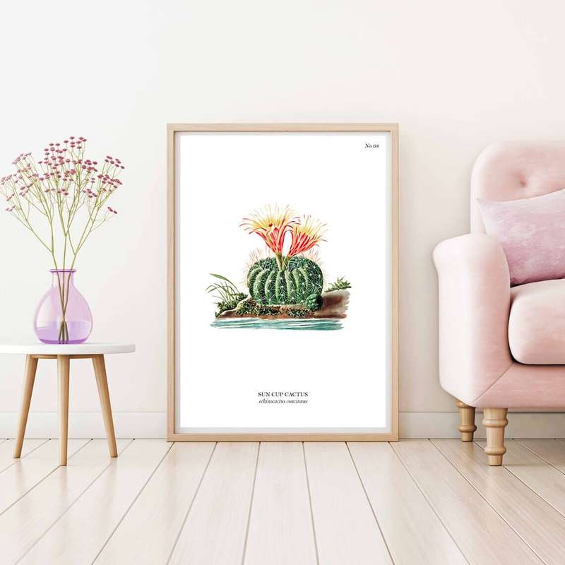 Sun Cup Cactus Botanical Art Print by Mary Vaux Walcott