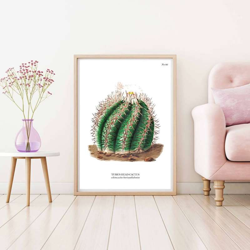 Turks Head Cactus Botanical Art Print by Mary Vaux Walcott