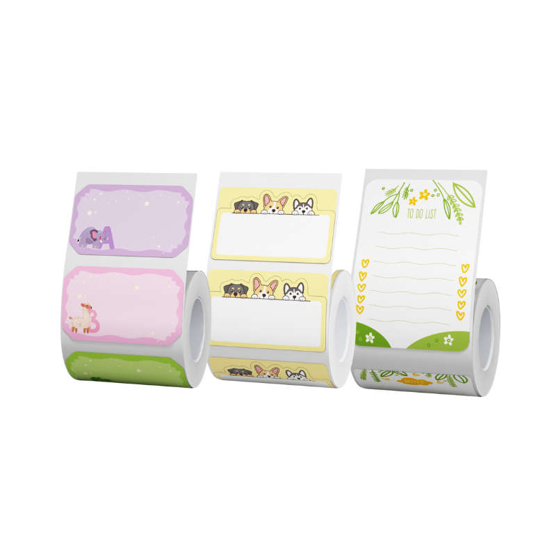 3 Rolls of Themed B21 Labels Bundle