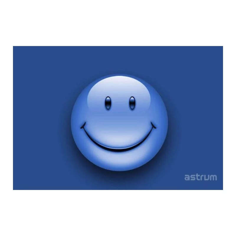Astrum NB200 Notebook Sticker 15.6" 3D Smily
