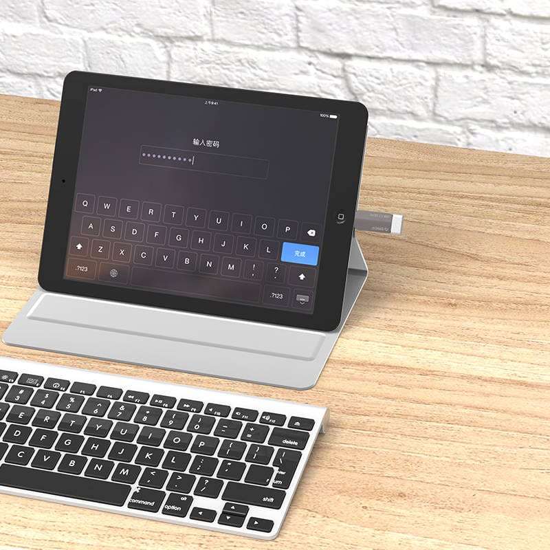 ORICO USB Type-C to USB-A 3.1 ChargeSync On The Go Adapter  Silver