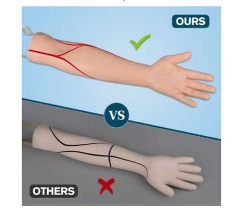 Multi Venous IV & Phlebotomy Practice Arm and Hand Kit