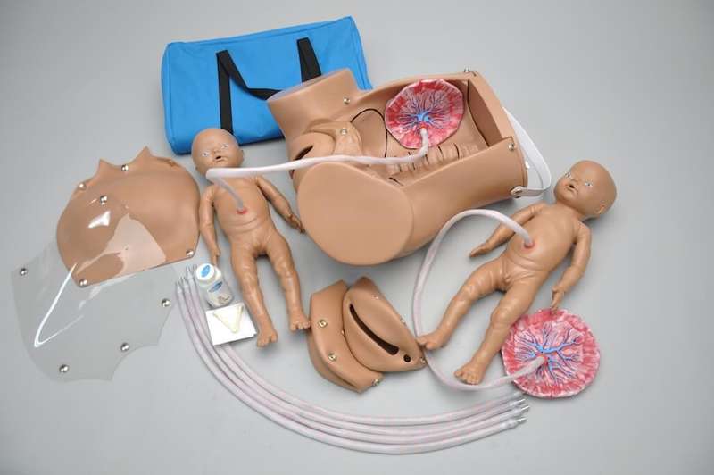 Advanced Birthing Simulator