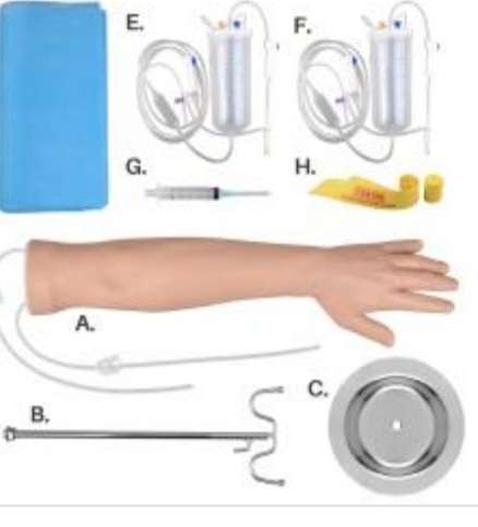 Multi Venous IV & Phlebotomy Practice Arm and Hand Kit