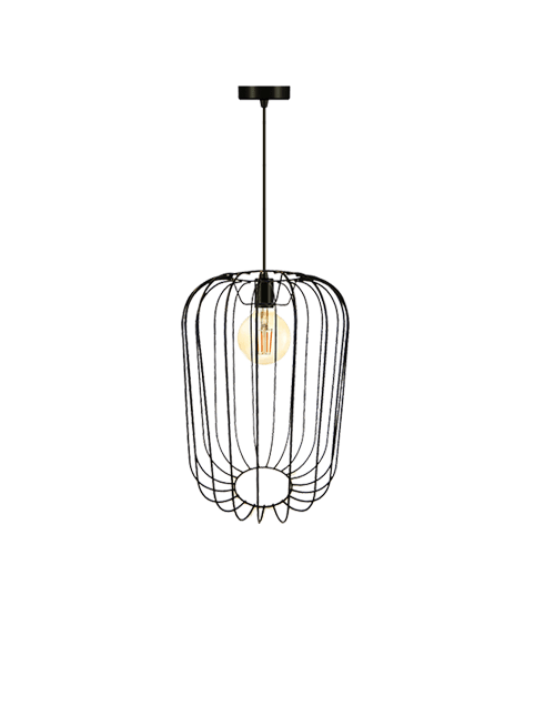 Wire Frame Pendant Light | FR19