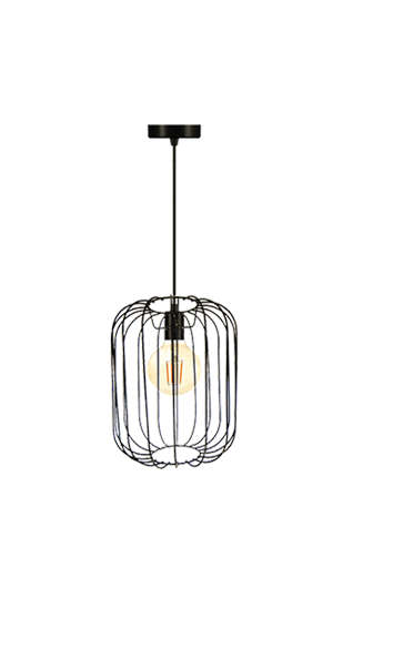 Wire Frame Pendant Light | FR20