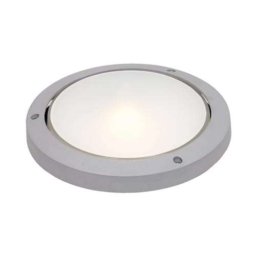 Frosted Glass Outdoor Light with Die Cast Aluminium | BH051 SILVER