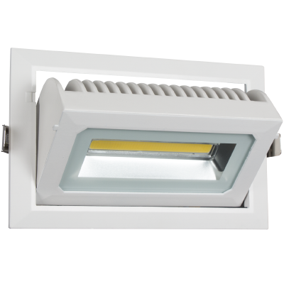 Rectangular Adjustable Downlight | DL101 WHITE
