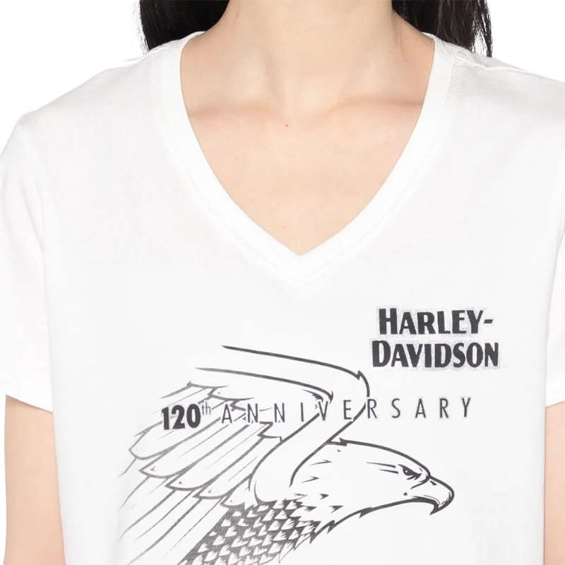 Womens 120th Anniversary United V-Neck Tee - L