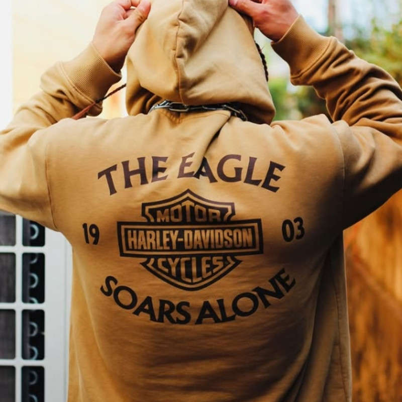 Eagle Soars Alone Slub Hoodie - 2XL