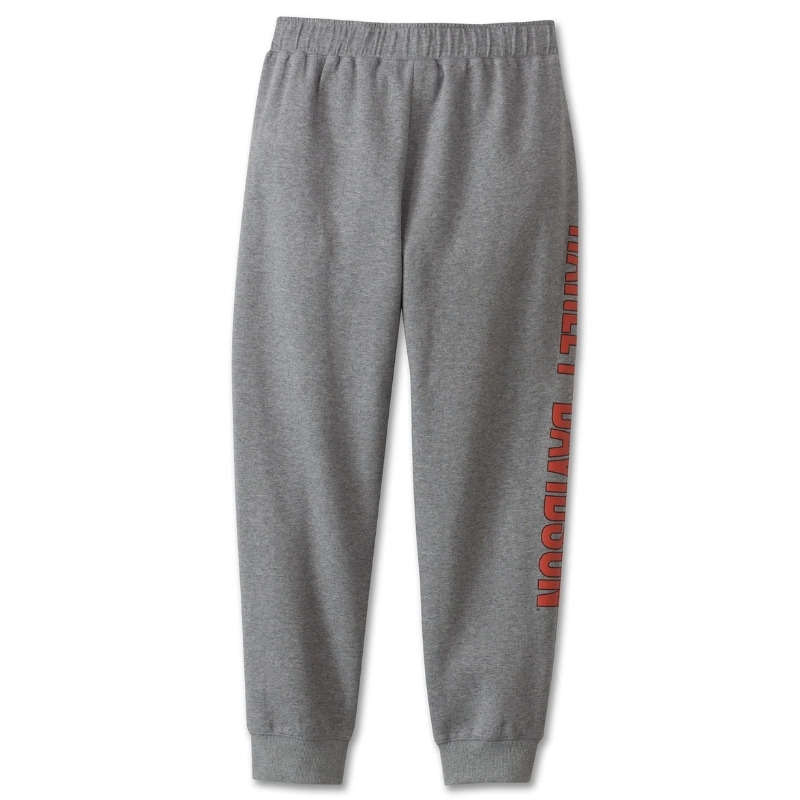 Men's Sweatpants - 2XL