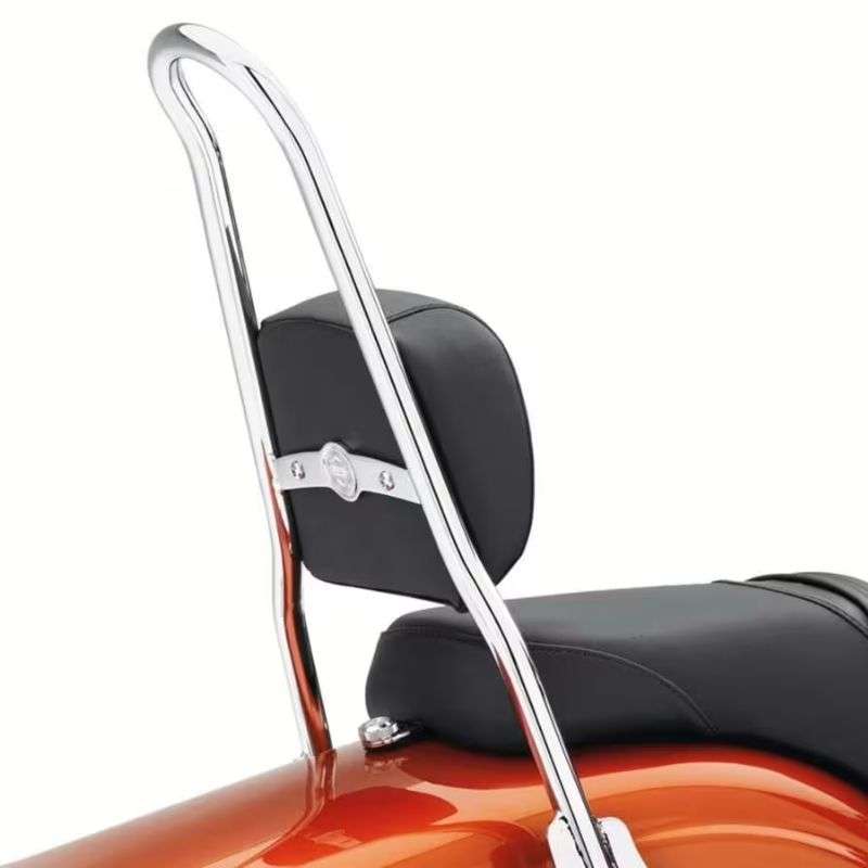 One-piece Detachables Sissy Bar Upright