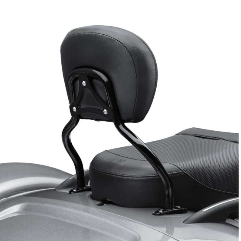 Quick-Release Sissy Bar Upright