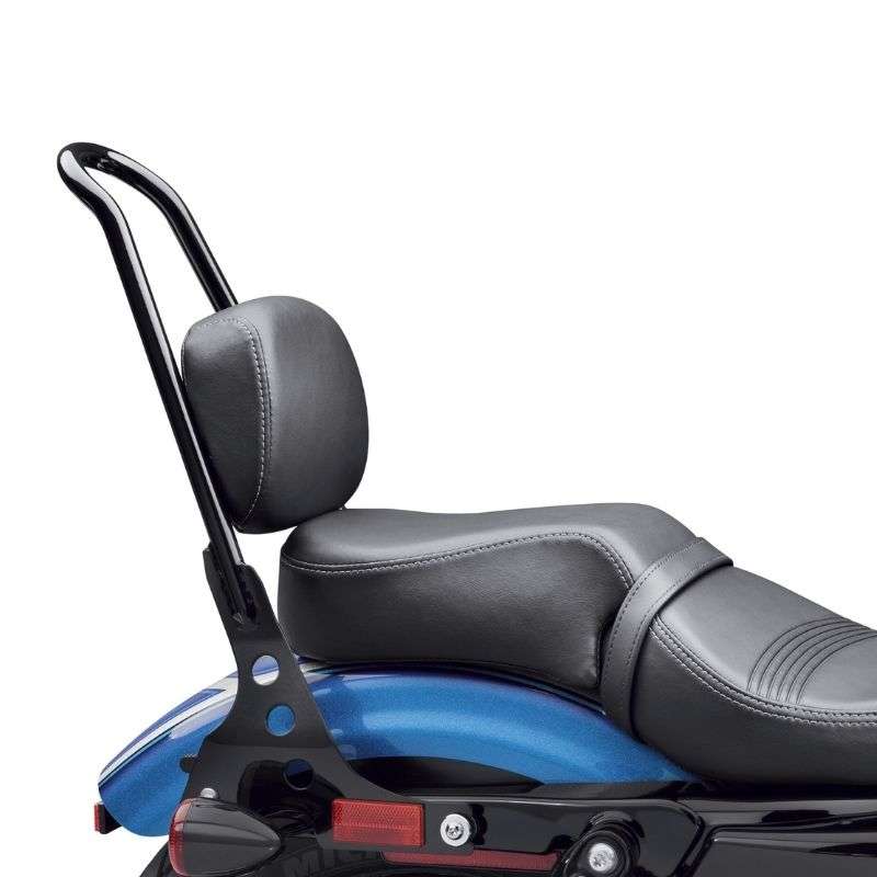Passenger Pillion - 16 Forty-Eight Style