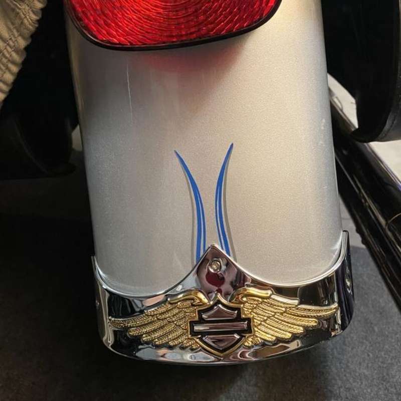 Eagle Wing Fender Trim