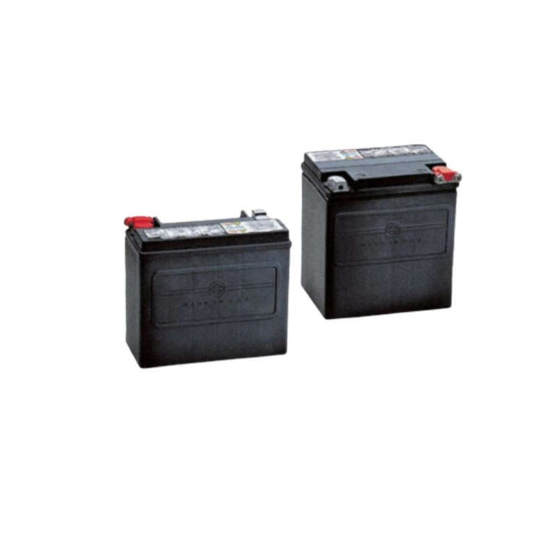 AGM Original Equipment Battery