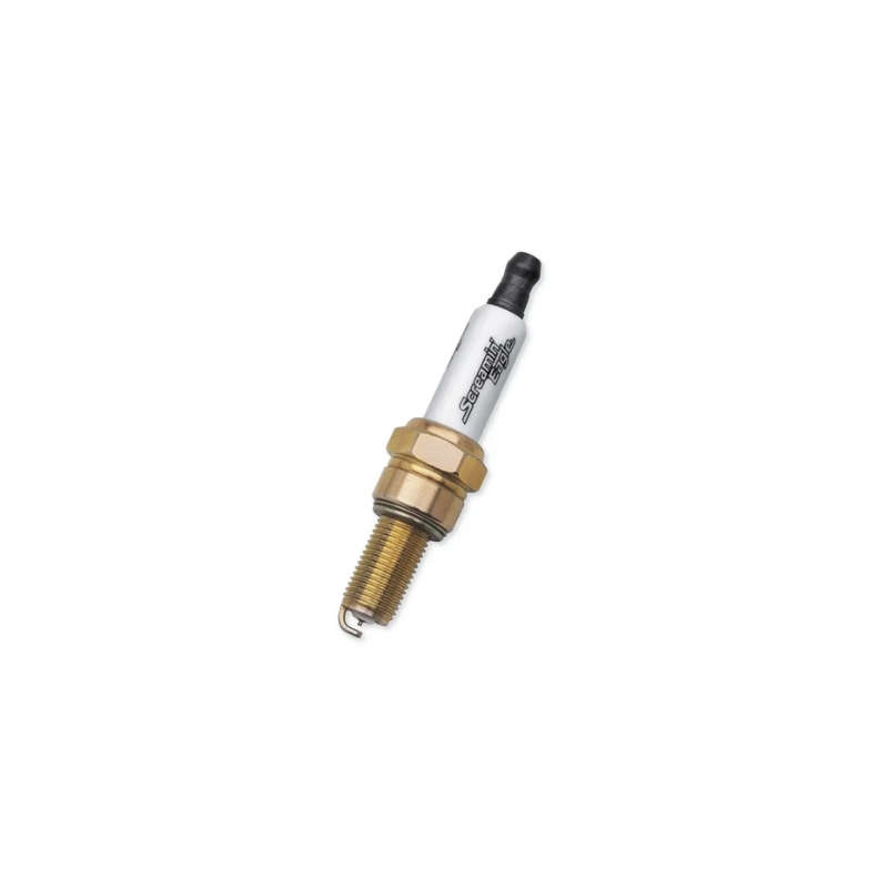Screamin Eagle Performance Spark Plugs