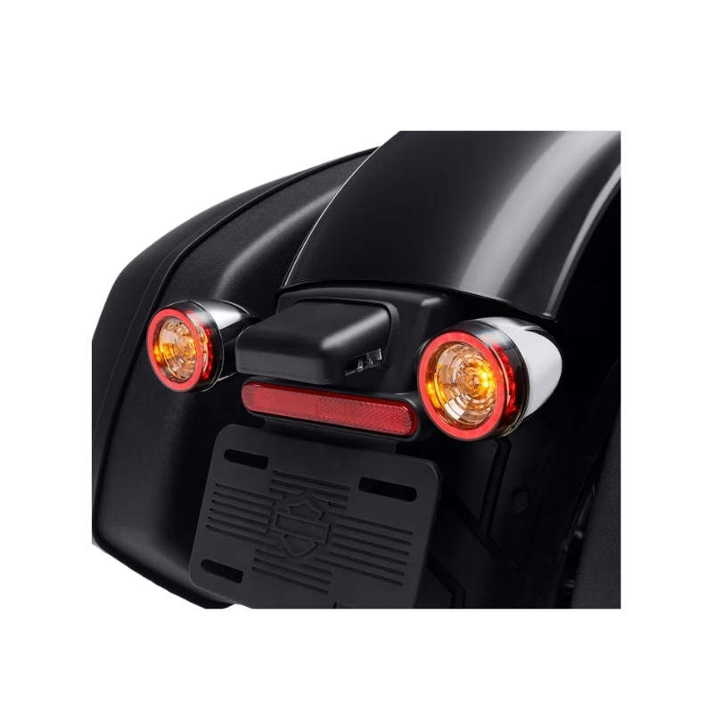 Rear Signature LED Turn Signal Assembly