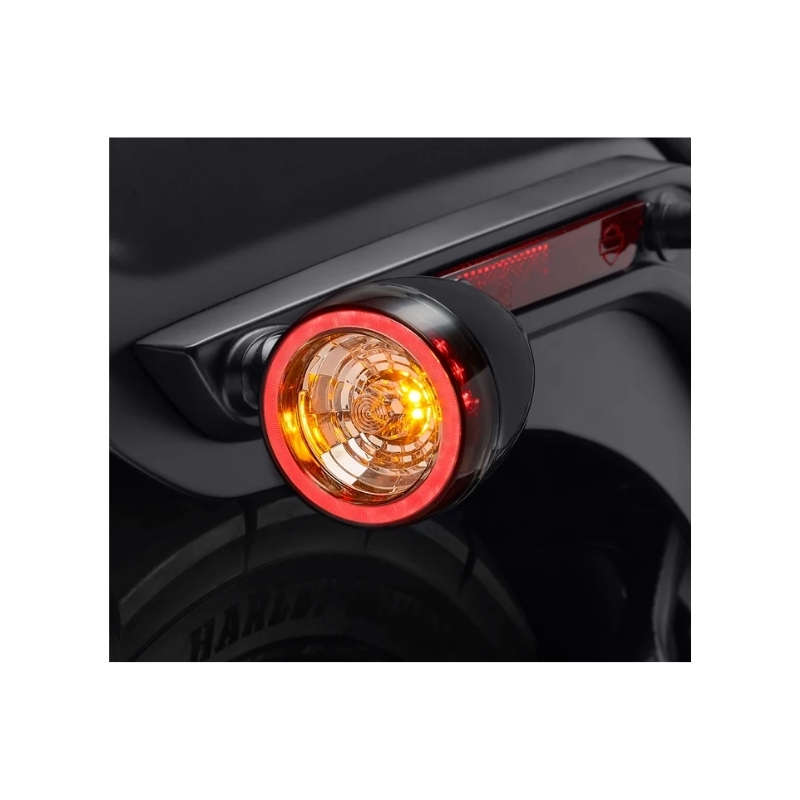 Rear Signature LED Turn Signal Assembly