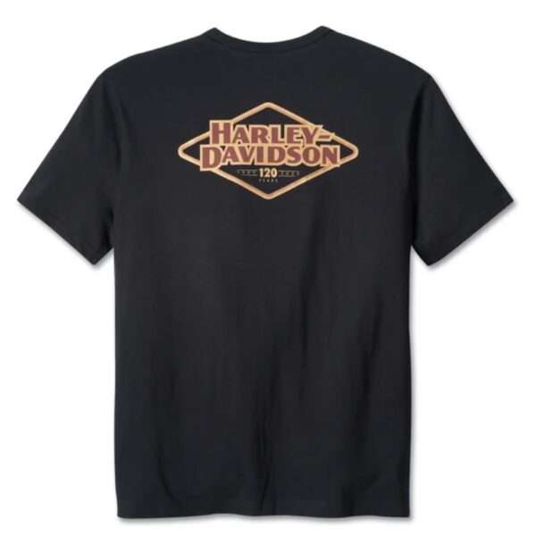 Mens 120th Anniversary Pocket Tee  Black Beauty - XL
