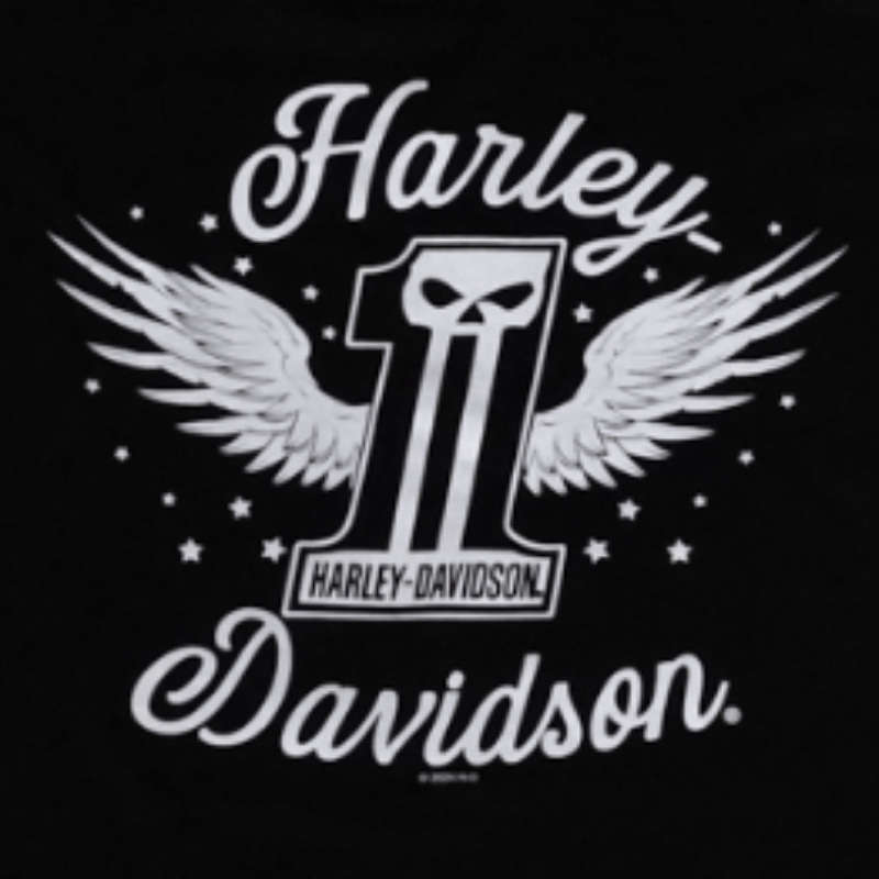 Womens Dark Angel Dealer Tee - 2XL