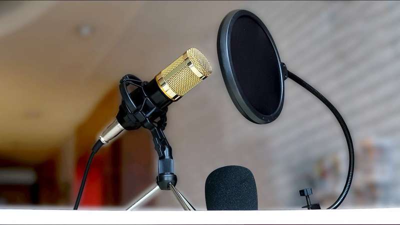 M800 Professional Condenser Microphone Kit