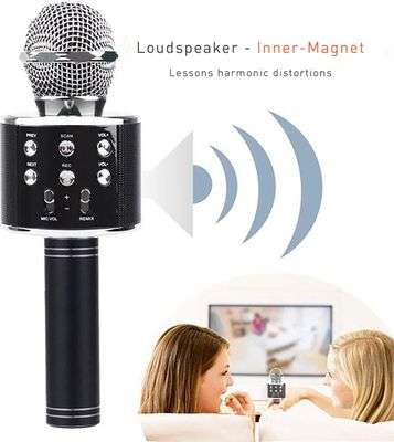 Wireless Microphone Karaoke Speaker For Smartphones - Black