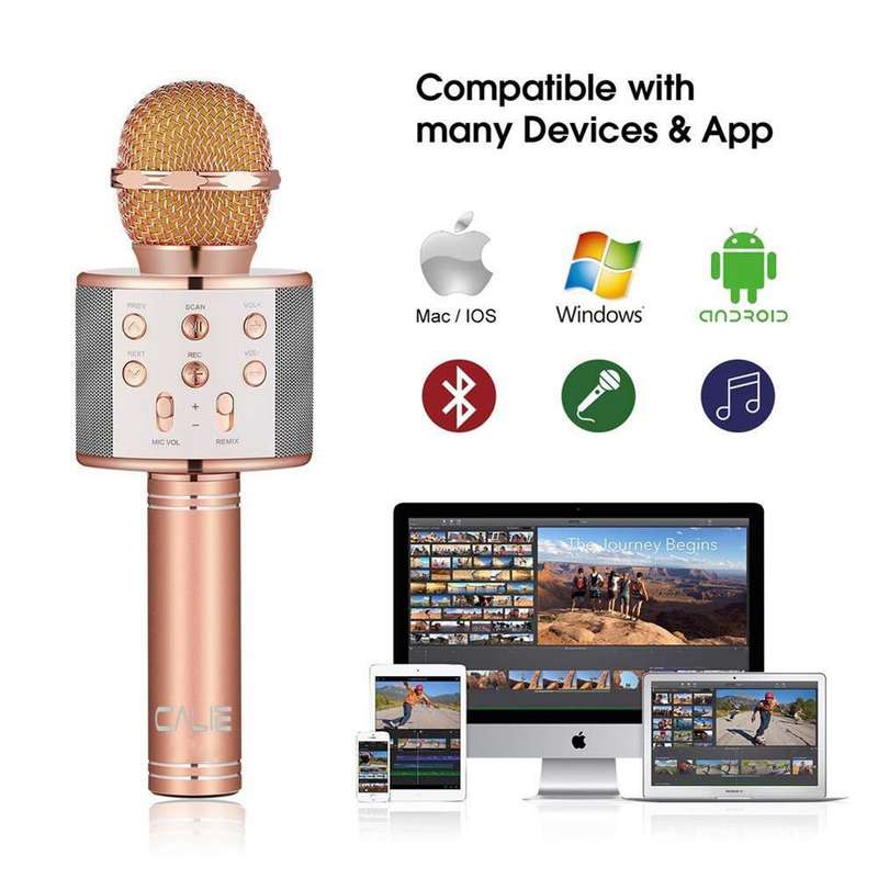 Wireless Microphone Karaoke Speaker For Smartphones - Rose Gold