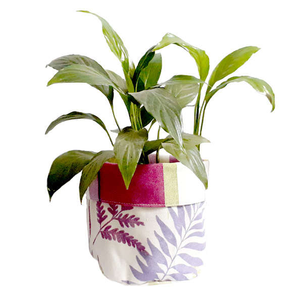 Pot Plant Holders
