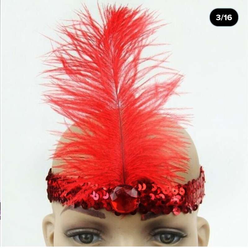 Feather Headband Assorted 8 Pack