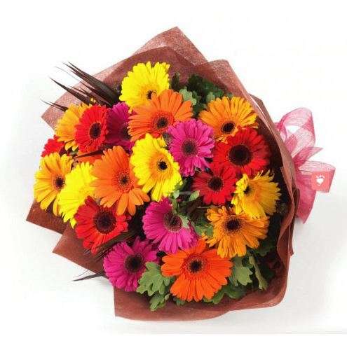20 Mixed Gerbera Bouquet
