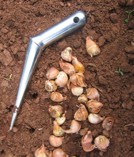 Dibber Planting Instrument