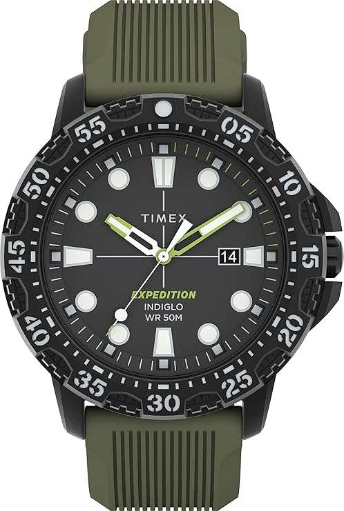 Timex Expedition Gallatin (TW4B254009J)