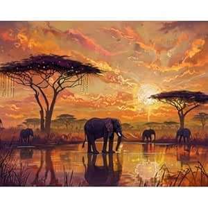 Paint by numbers - African Elephant - 40x50cm