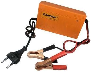 12V 15A Intelligent Pulse Charger