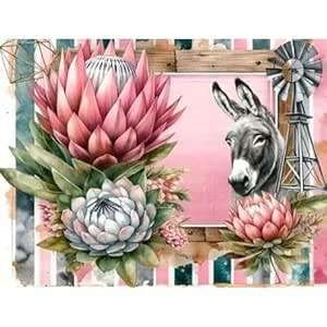 Paint by numbers - Donkey & Proteas - 40x50cm