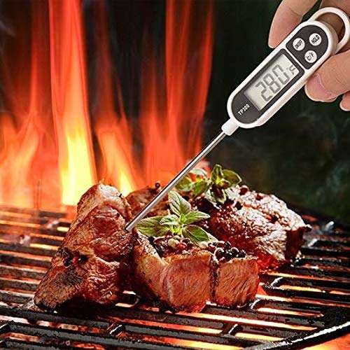 Digital Thermometer TP300