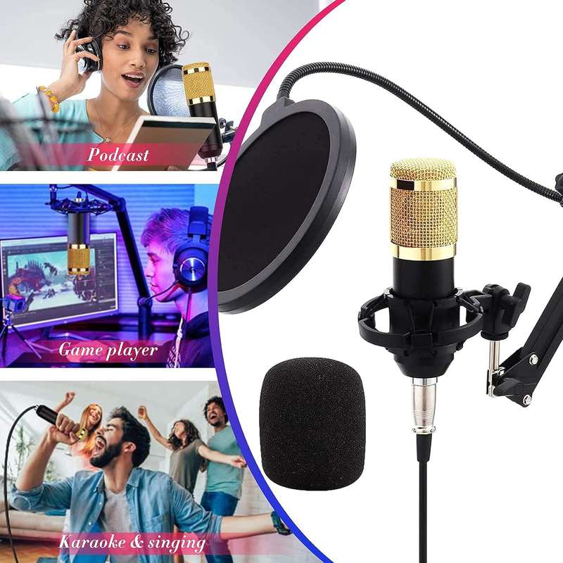 Professional Recording Microphone Soundcard Set M800 Pro Condenser Microphone Kit V8 Sound Card Gold