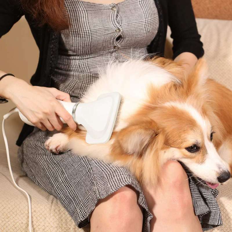 Pet Grooming Dryer